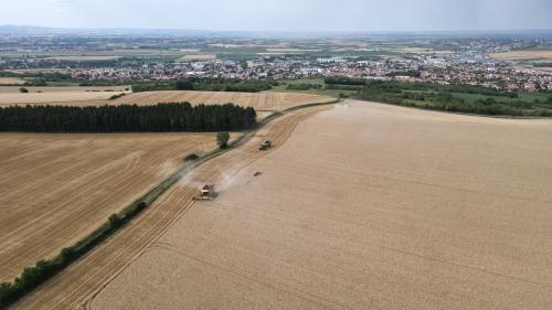 DJI_3618.JPG